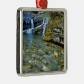 キャメロン滝ズインウォータートンレイクスナショナルパークイン メタルオーナメント (右)