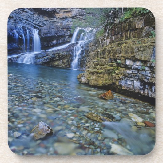 キャメロン秋ズインWaterton Lakes国立公園2 コースター (正面)