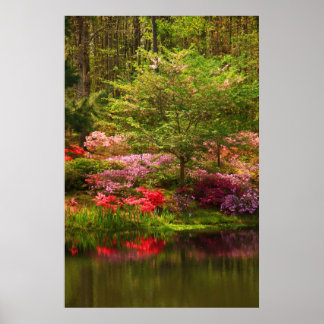 キャラウェイの風景 ポスター