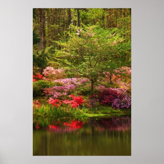 キャラウェイの風景 ポスター (正面)