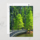 キャラウェイ風景 ポストカード (正面/裏面)