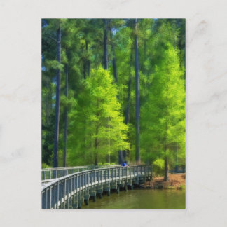 キャラウェイ風景 ポストカード