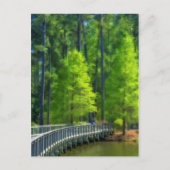 キャラウェイ風景 ポストカード (正面)