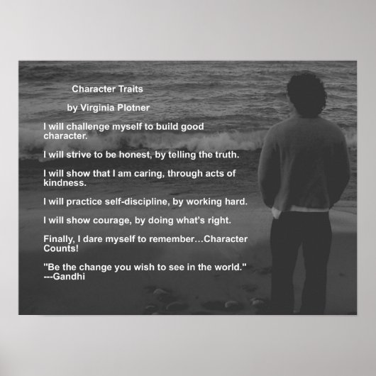 キャラクタートレイトバイバージニアプロットナー ポスター (正面)