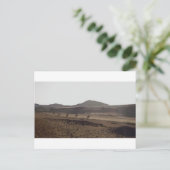 キャラバンは移動を保ちます ポストカード (スタンド正面)