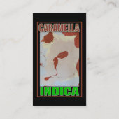 キャラメラ・インディカ 名刺 (裏面)