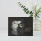 キャラメル ポストカード (スタンド正面)