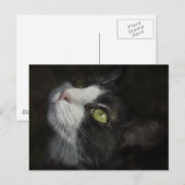 キャラメル ポストカード (正面/裏面)