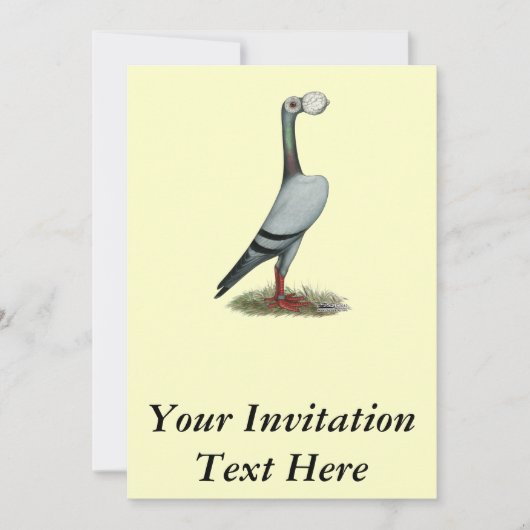 キャリアピジョン2012 招待状 (正面)