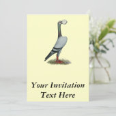 キャリアピジョン2012 招待状 (スタンド正面)