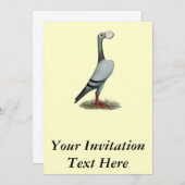 キャリアピジョン2012 招待状 (正面/裏面)