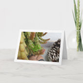 キャリオンサボテン工場のエジプト産キリギリスのニンフ カード (正面)