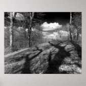 キャリオン。 ポスター (正面)