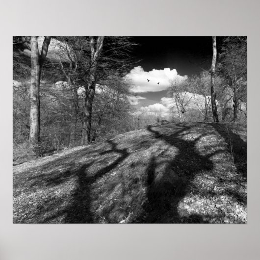 キャリオン。 ポスター (正面)