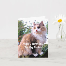 キャリコ猫の誕生日お姉さん カード