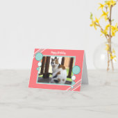 キャリコ猫座り写真サンゴターコイズ カード (黄色い花)