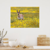 キャリゾプレーンズ過去 ポスター (キッチン)