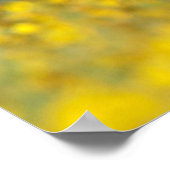 キャリゾプレーンズ過去 ポスター (角)