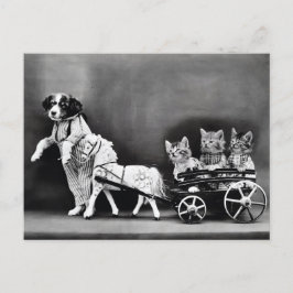 . .キャリッジの子猫 ポストカード