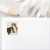 キャリバリーキングチャールズスパニエル犬絵画ズ ラベル (インサイチュ)