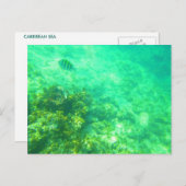 キャリビーンはがき2 ポストカード (正面/裏面)