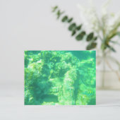 キャリビーン海はがき13 ポストカード (スタンド正面)