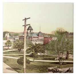 キャリフォルニア州ヒールドズバーグのセラミックタイル タイル