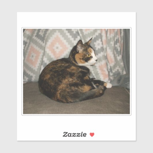 キャリーキャットオンソファ シール (シート)