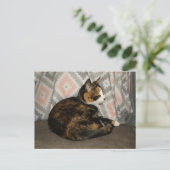 キャリーキャットオンソファ ポストカード (スタンド正面)