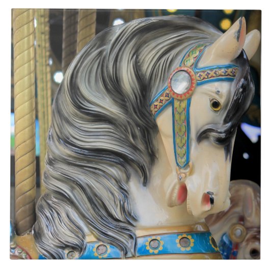 キャロサルホース1 タイル (正面)