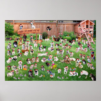 キャロットトップバニーデイケア2015 ポスター