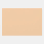 キャロットパッチイースターラッピング紙 ラッピングペーパーシート (正面3)