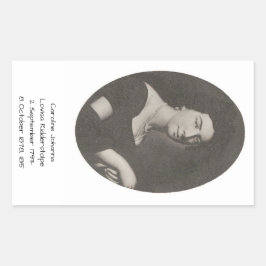 キャロラインヨハンナロビザリダーストルペ， 1815 長方形シール