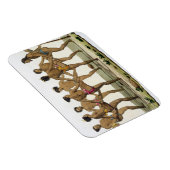 キャロライン島民のダンス、プレート22から'Le マグネット (右側)