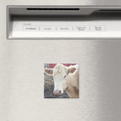 キャロル牛 マグネット (インサイチュ (食洗機))