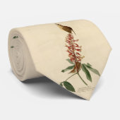 キャロ素晴らしロライナ・ウォレン – オードゥボンの鳥たち ネクタイ (ロール)