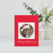 キャンディおもしろいー杖を持つクリスマス猫 シーズンカード (スタンド正面)