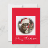 キャンディおもしろいー杖を持つクリスマス猫 シーズンカード (正面)