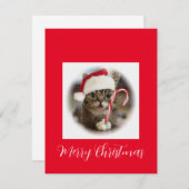 キャンディおもしろいー杖を持つクリスマス猫 シーズンカード (正面/裏面)