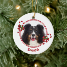 キャンディカヌーカスタムズ付き写真テンプレート&文字