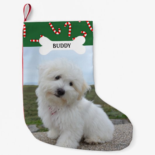 キャンディキャンズドッグボーンペットの写真 スモールクリスマスストッキング (正面)