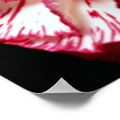 キャンディストライプのカーネーション ポスター (角)