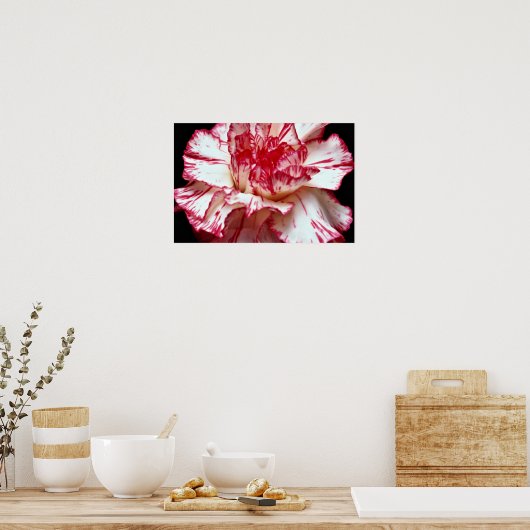 キャンディストライプのカーネーション ポスター (キッチン)