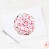 キャンディストライプのーの椿 ラウンドシール (封筒)
