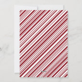 キャンディストライプケーンOne写真 シーズンカード (裏面)