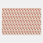 キャンディストライプーとキノコ ラッピングペーパーシート (正面)