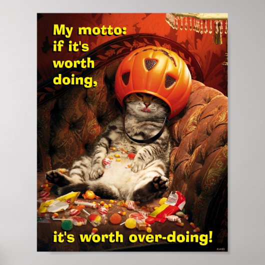 キャンディバケツの下の猫 ポスター (正面)