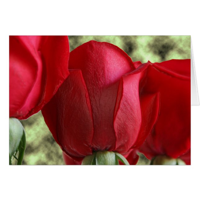 キャンディバラ (正面横)