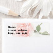 キャンディピンクローズ ラベル (インサイチュ)