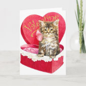 キャンディボックスの子猫 シーズンカード (正面)